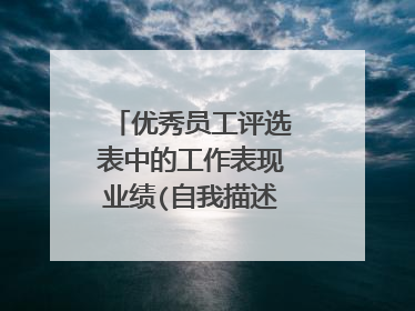 优秀员工评选表中的工作表现业绩(自我描述)怎么写啊?