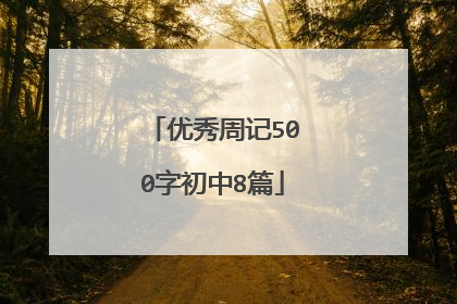 优秀周记500字初中8篇