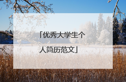 优秀大学生个人简历范文