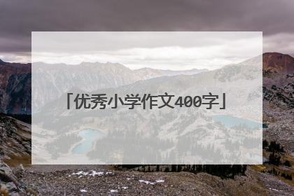 优秀小学作文400字