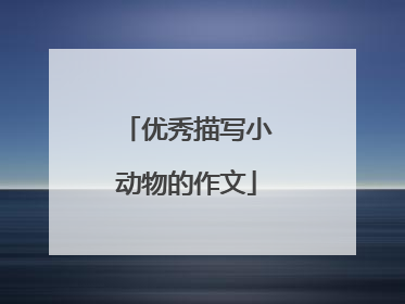 优秀描写小动物的作文