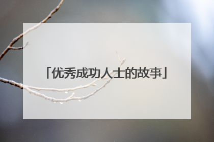 优秀成功人士的故事