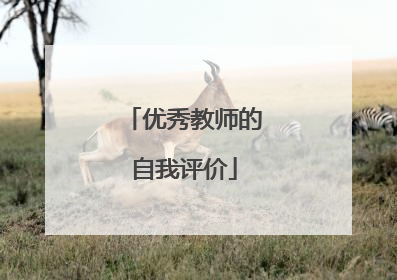 优秀教师的自我评价