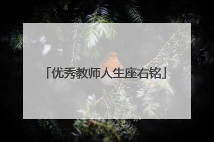 优秀教师人生座右铭