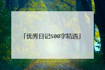 优秀日记500字精选
