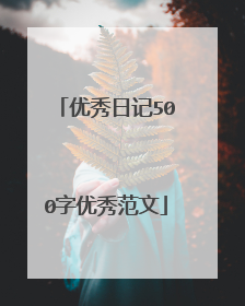 优秀日记500字优秀范文