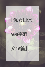 优秀日记500字范文10篇