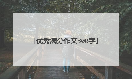 优秀满分作文300字