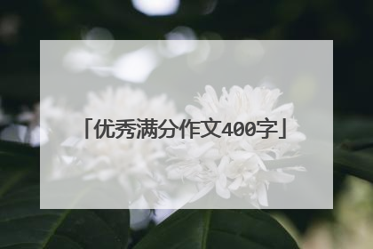 优秀满分作文400字