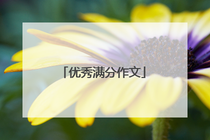 优秀满分作文