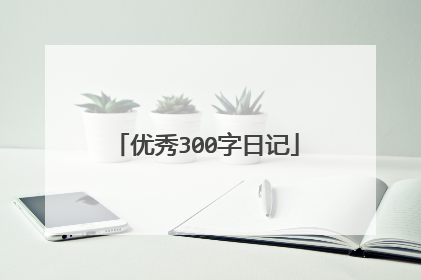 优秀300字日记