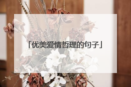 优美爱情哲理的句子