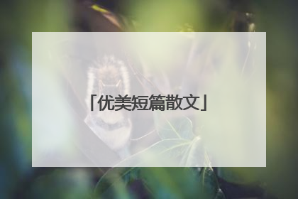 优美短篇散文