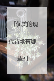 优美的现代诗歌有哪些?