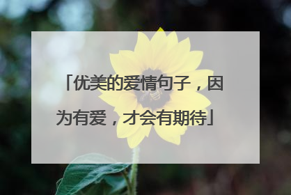 优美的爱情句子，因为有爱，才会有期待
