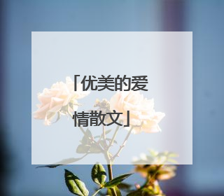 优美的爱情散文