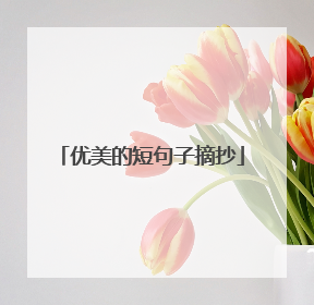 优美的短句子摘抄