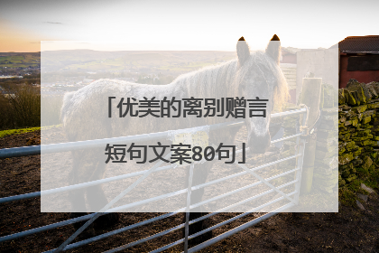 优美的离别赠言短句文案80句
