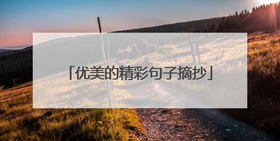 优美的精彩句子摘抄