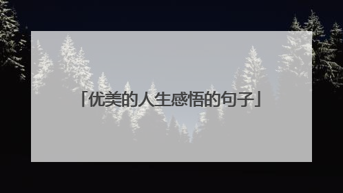 优美的人生感悟的句子
