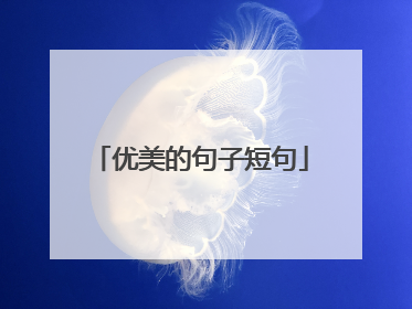 优美的句子短句