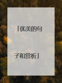 优美的句子和赏析