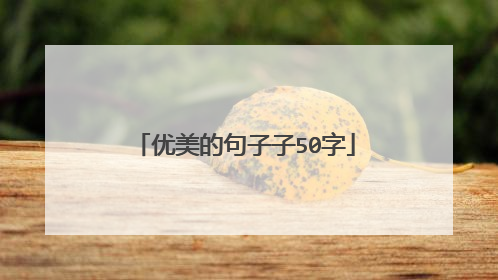 优美的句子子50字