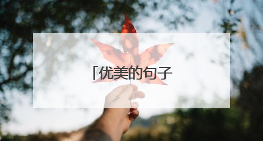 优美的句子摘抄及感悟