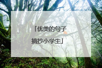 优美的句子摘抄小学生