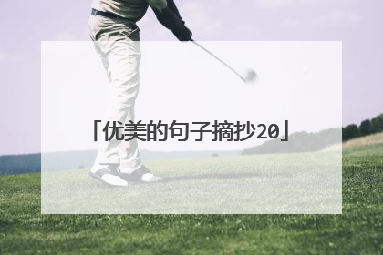 优美的句子摘抄20