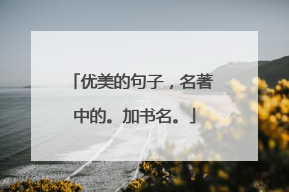 优美的句子,名著中的。加书名。