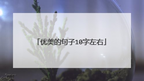 优美的句子10字左右