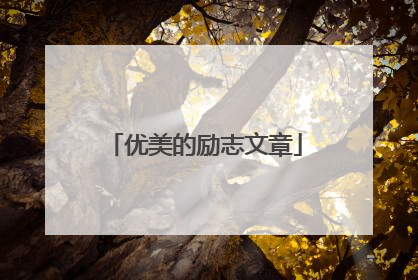 优美的励志文章