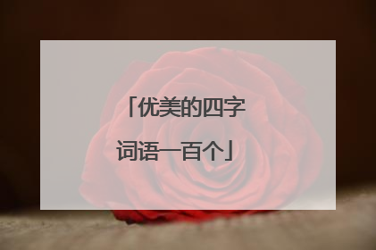 优美的四字词语一百个