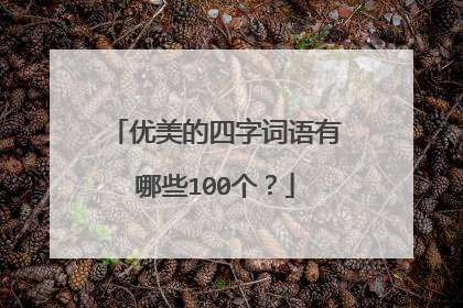 优美的四字词语有哪些100个？
