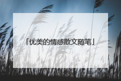 优美的情感散文随笔