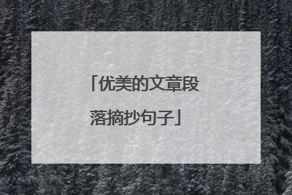 优美的文章段落摘抄句子