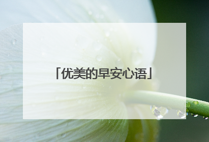 优美的早安心语