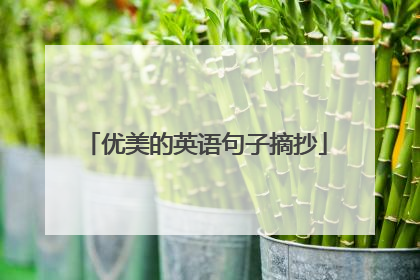 优美的英语句子摘抄