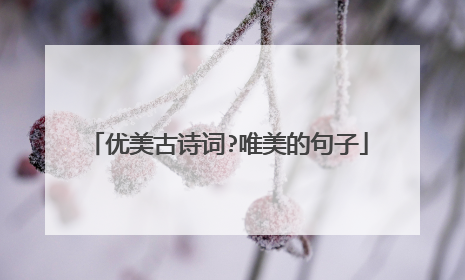 优美古诗词?唯美的句子