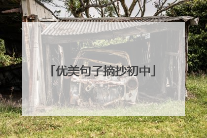 优美句子摘抄初中