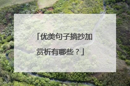 优美句子摘抄加赏析有哪些？