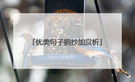 优美句子摘抄加赏析