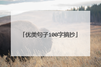 优美句子100字摘抄