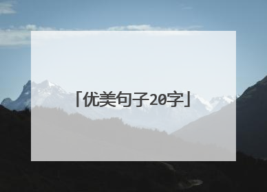 优美句子20字