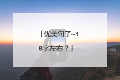 优美句子~30字左右?