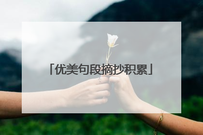 优美句段摘抄积累