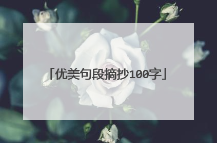 优美句段摘抄100字
