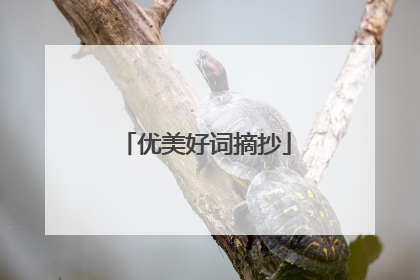 优美好词摘抄