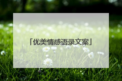 优美情感语录文案